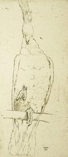 Martin erich philipp meph - martin,
