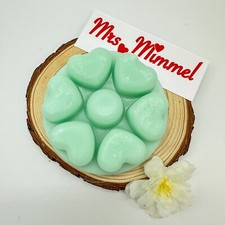 PARTYLITE HONEYDEW Honigmelone