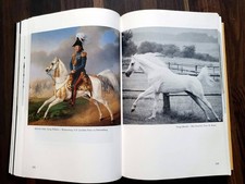 SAMMLERSTÜCK * Asil Araber