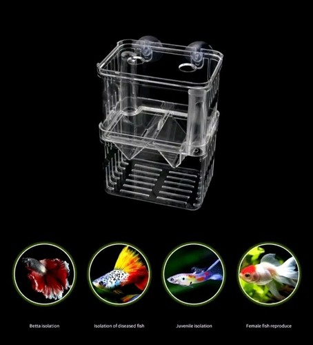 Zuchtbox aquarien - zuchtbox,