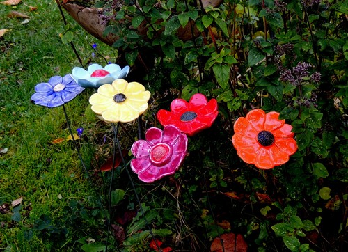 Frostfeste blümchen aus - 6,