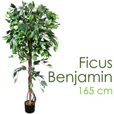 Ficus Benjamin Kunstpflanze