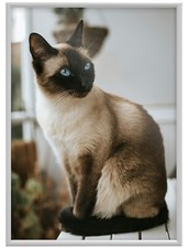 Bilderrahmen Foto Rahmen