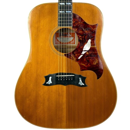 Gibson dove custom - gibson, akustik