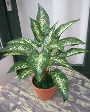 Künstliche Dieffenbachia im