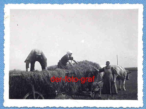 Foto alte landwirtschaft - alte,