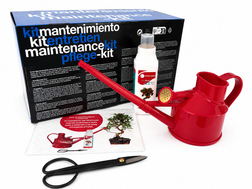 Bonsai pflege set mit schere - bonsai,