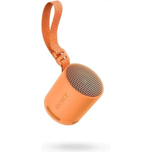Sony srs xb100 - sony, tragbarer