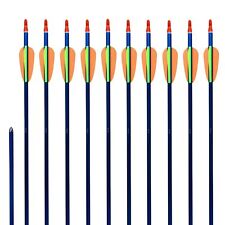 10 Alupfeile Aluminiumpfeile 1916 Pfeile Recurvebogen Sportbogen bis ca 40lbs