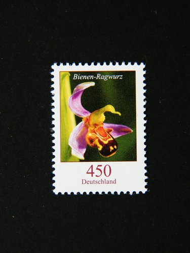 Brd minr 3191 blumen - brd,