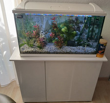 Eheim Aquarium mit