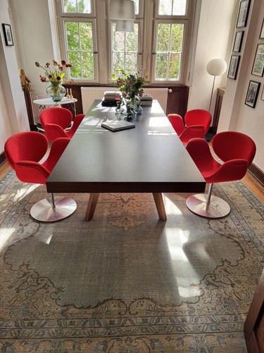 Little tulip chairvon pierre - 4,
