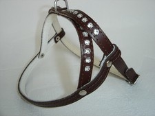 HUNDEGESCHIRR - Geschirr