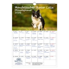 Hundezauber Border Collie