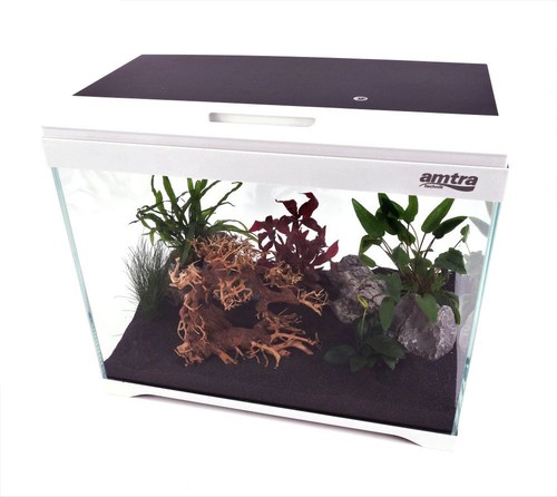 Nano aquarium modern tank - aquarium,
