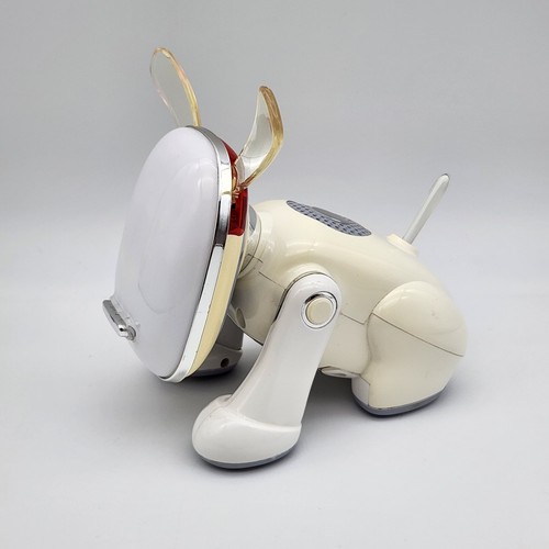 Idog amp weiß - amp'd, interaktiver
