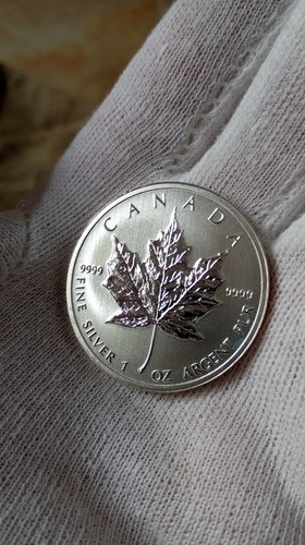 Silbermünze maple leaf - silbermünze,