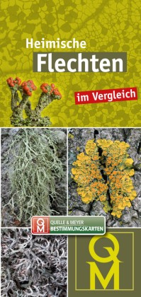 Heimische flechten buch - |,