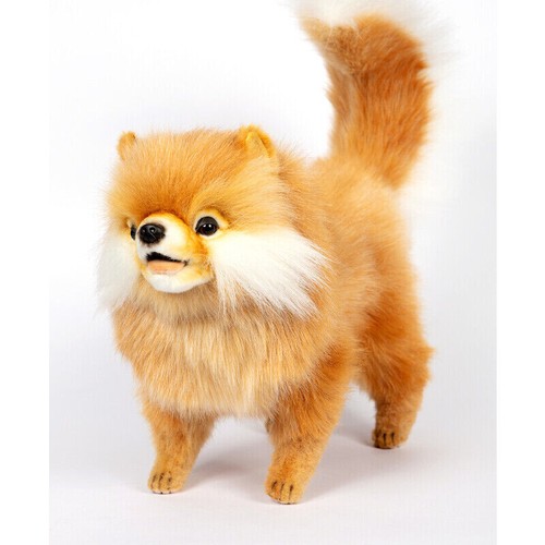 Hansa pomeranian 7018 - hansa,