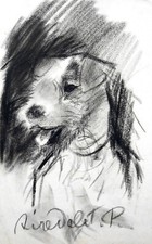 Foxterrier / Hund / Airedale Terrier / Alte Handzeichnung, signiert T.P  /um1900