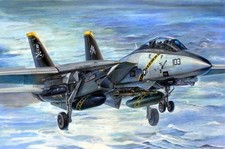 Trumpeter 1:32 3202 F-14B Tomcat