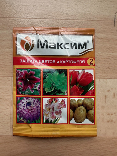 Maxim 2ml максим - maxim, 2ml/Максим