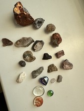 Mineralien Fossilien Konvolut