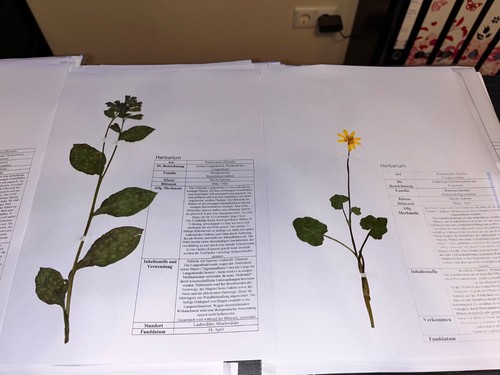 Herbarium with pressed and - with,