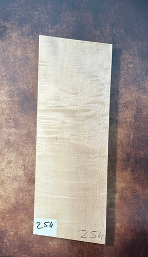 Riegelahorn flamed maple - flamed, |