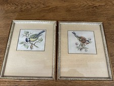 2 Vintage Vogelbilder im Rahmen Meise & Stieglitz  18×20 cm Shabby Chic