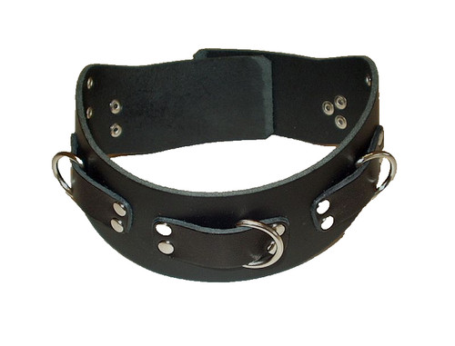 Breites schwarzes anatomisches