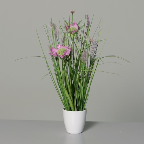 Wiesenblumengras pink 38cm - , im