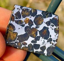 Meteorit Seymchan Scheibe poliert / Meteorite Slice