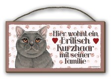 HIER WOHNT - BRITISCH KURZHAAR - HOLZSCHILD MDF 25x12,5 cm 55 KATZENSCHILD KATZE