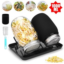 Sprossenglas Keimglas Samen