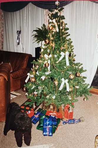 Weihnachtsbaum wohnzimmer - weihnachtsbaum,