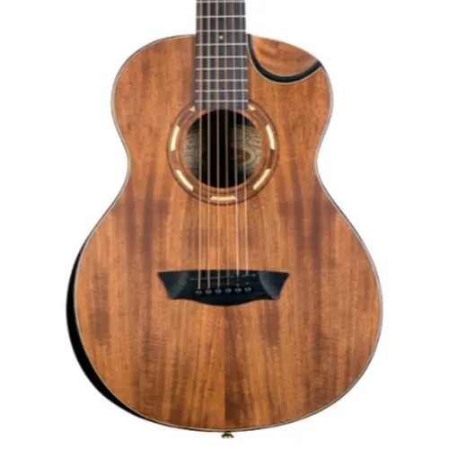 Washburn comfort mini - washburn, g-mini