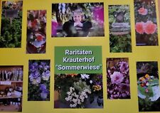 Rettich - rot  lang "Hilds roter Neckarruhm"  früh, Treibhaus, Garten, Kübel