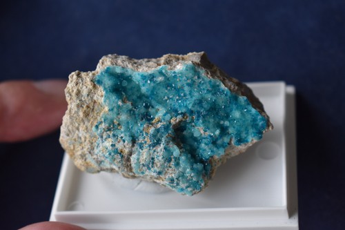 Veszelyit auf blauem - xx,
