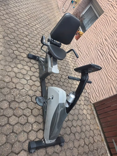 Skandika centaurus - skandika,