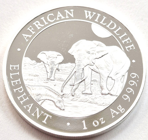 African wildlife elephant oz - wildlife,