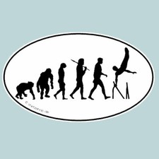 Bars Sport Evolution Vinyl