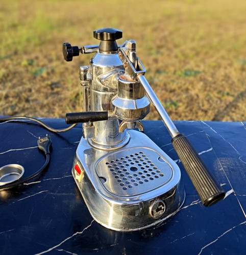 Pavoni europiccola - la,