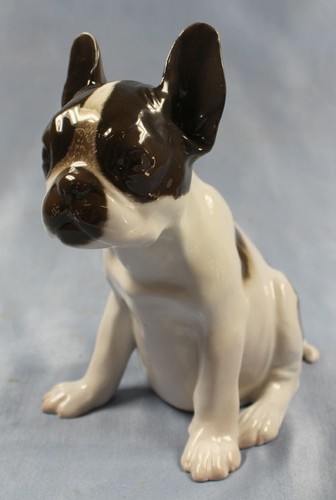 Französischer bulldogge harth - bulldogge,