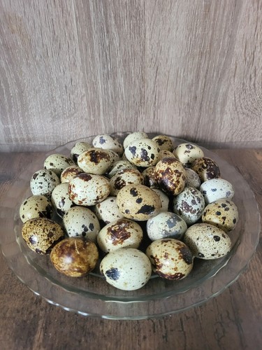Stück frische - stück, (6x12)
