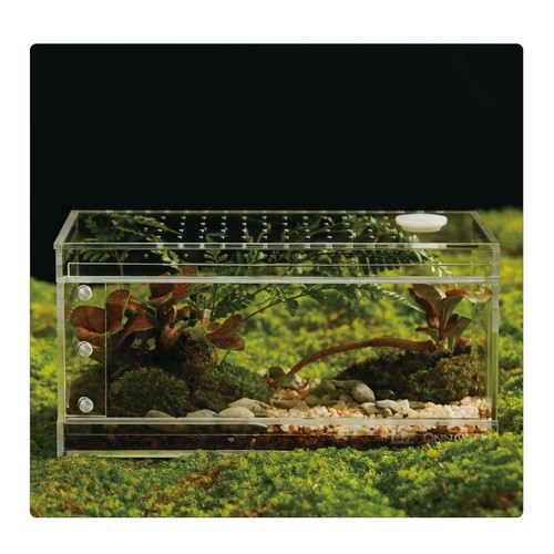 Acrylic terrarium reptiles - terrarium,
