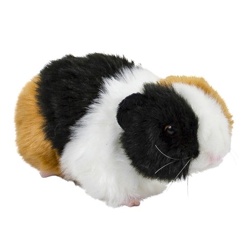 Meerschweinchen kuscheltier - kuscheltier, 20