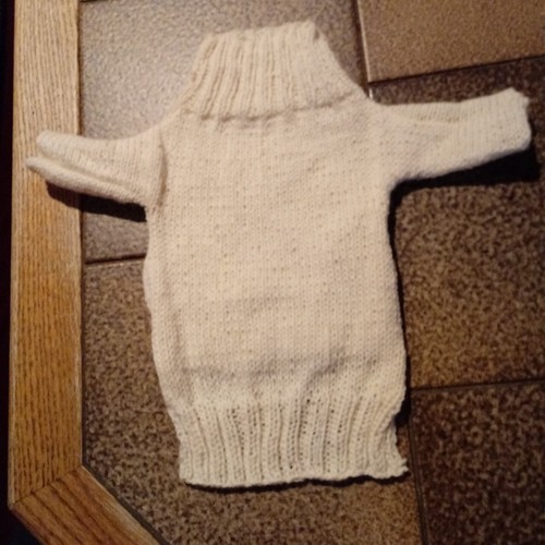 Hunde pulli - hunde,