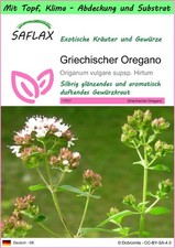 SAFLAX - Garden to go - Griechischer Oregano - 600 Samen