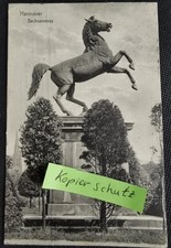 AK Hannover Sachsenross gel